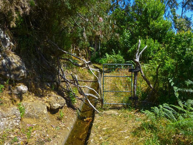 21.07.2014 Levada de Santana — Weiter zur Madre 3 — Foto 22