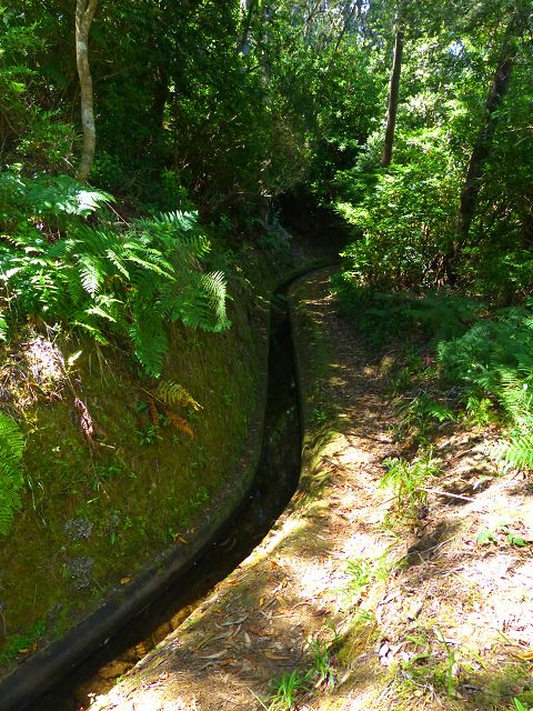 21.07.2014 Levada de Santana — Weiter zur Madre 3 — Foto 23