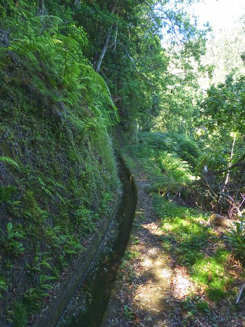 21.07.2014 Levada de Santana — Weiter zur Madre 3 — Foto 24