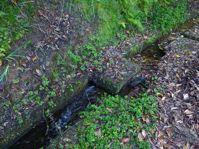 21.07.2014 Levada de Santana — Weiter zur Madre 3 — Foto 26