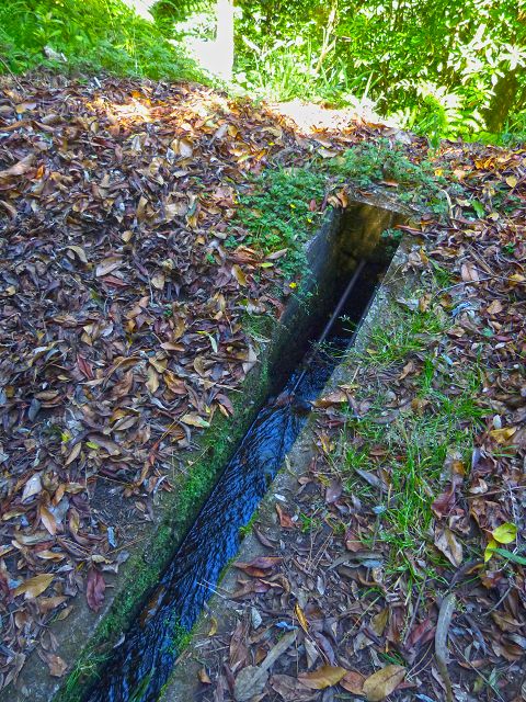 21.07.2014 Levada de Santana — Weiter zur Madre 3 — Foto 28