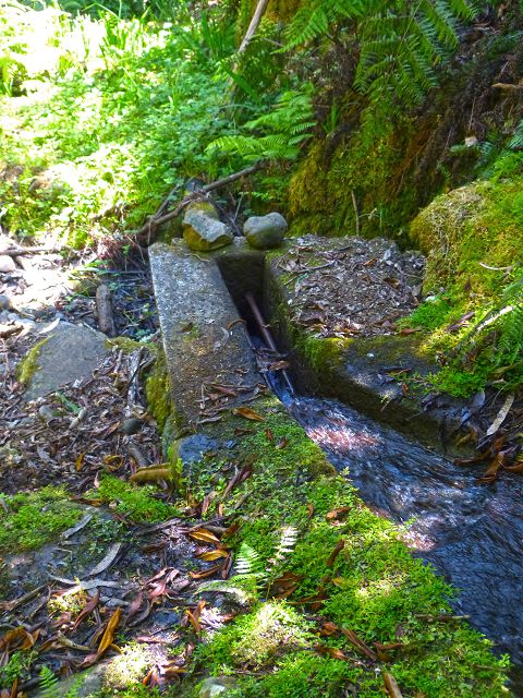 21.07.2014 Levada de Santana — Weiter zur Madre 3 — Foto 29