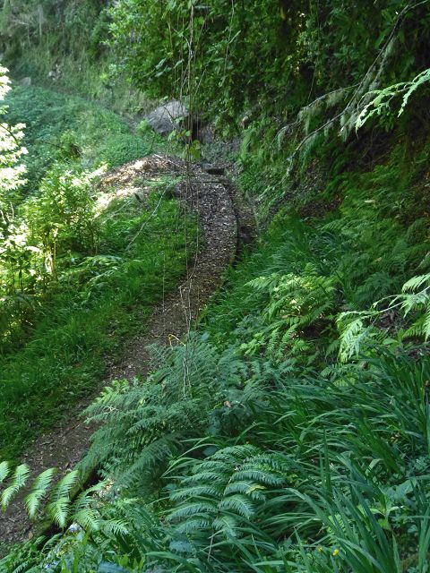 21.07.2014 Levada de Santana — Weiter zur Madre 3 — Foto 31