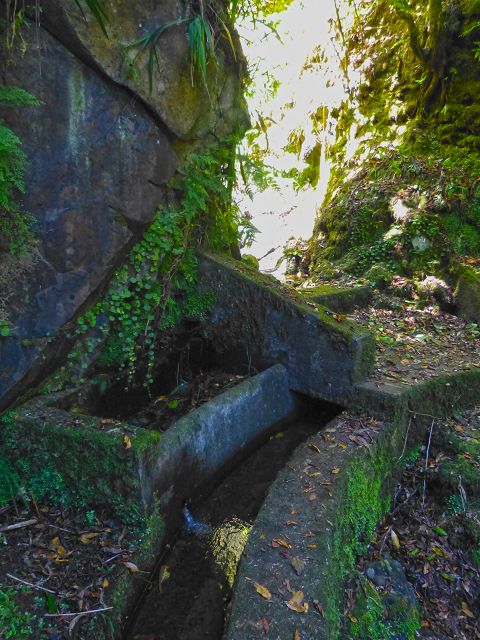 21.07.2014 Levada de Santana — Weiter zur Madre 2 — Foto 2