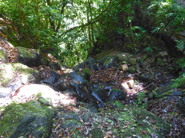 21.07.2014 Levada de Santana — Weiter zur Madre 2 — Foto 3