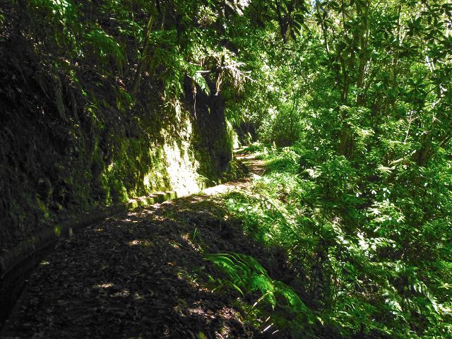 21.07.2014 Levada de Santana — Weiter zur Madre 2 — Foto 4