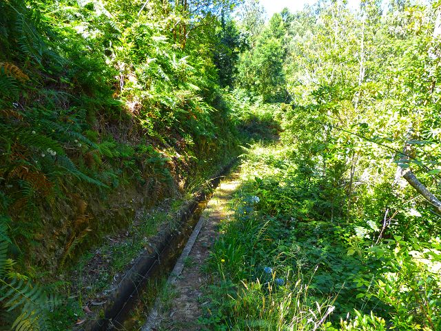 21.07.2014 Levada de Santana — Von der Kreuzung mit der ER-218 zur Madre 4 — Foto 5