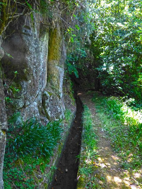 21.07.2014 Levada de Santana — Weiter zur Madre 2 — Foto 7