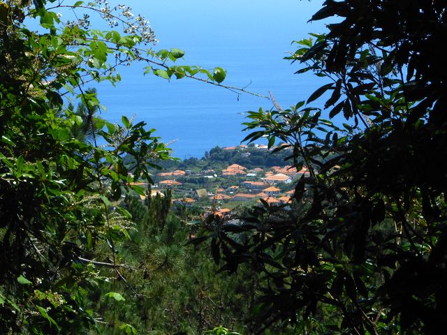 21.07.2014 Levada de Santana — Weiter zur Madre 2 — Foto 8