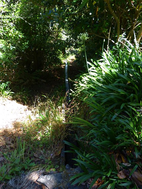 21.07.2014 Levada de Santana — Weiter zur Madre 2 — Foto 10