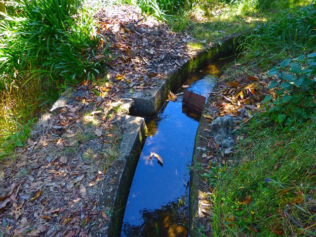 21.07.2014 Levada de Santana — Weiter zur Madre 2 — Foto 11