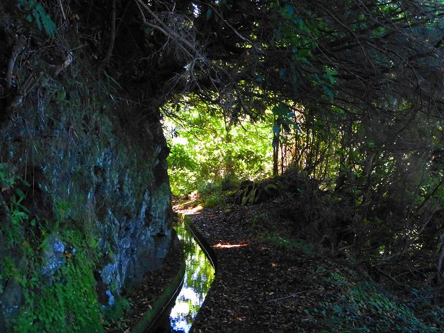 21.07.2014 Levada de Santana — Weiter zur Madre 2 — Foto 14