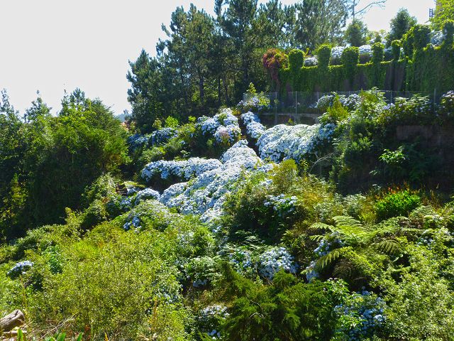 21.07.2014 Levada de Santana — Von der Kreuzung mit der ER-218 zur Madre 4 — Foto 6