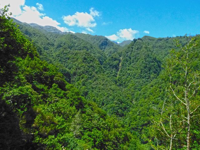 21.07.2014 Levada de Santana — Weiter zur Madre 2 — Foto 15