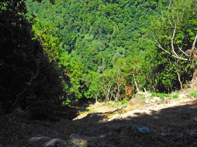 21.07.2014 Levada de Santana — Weiter zur Madre 2 — Foto 16