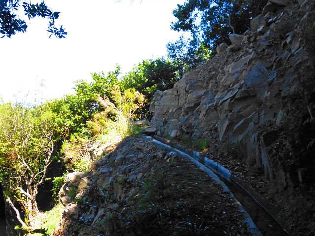 21.07.2014 Levada de Santana — Weiter zur Madre 2 — Foto 17