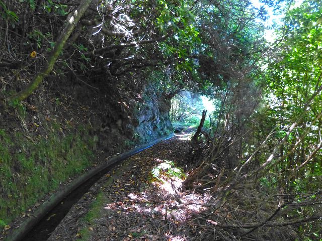 21.07.2014 Levada de Santana — Weiter zur Madre 2 — Foto 18