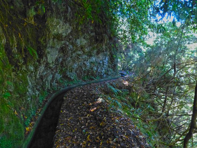 21.07.2014 Levada de Santana — Weiter zur Madre 2 — Foto 19