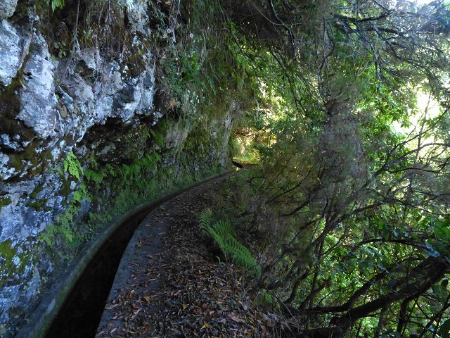 21.07.2014 Levada de Santana — Weiter zur Madre 2 — Foto 20