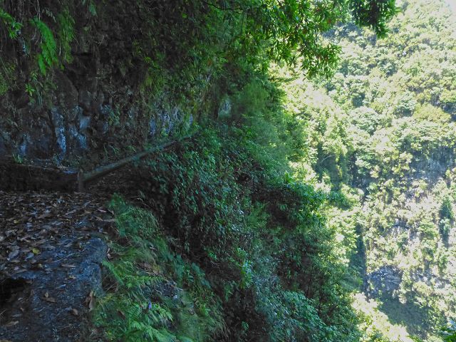 21.07.2014 Levada de Santana — Weiter zur Madre 2 — Foto 21