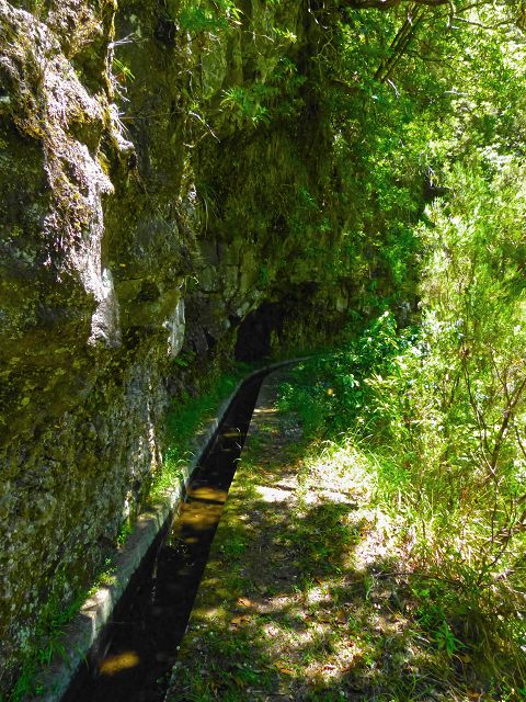 21.07.2014 Levada de Santana — Weiter zur Madre 2 — Foto 23