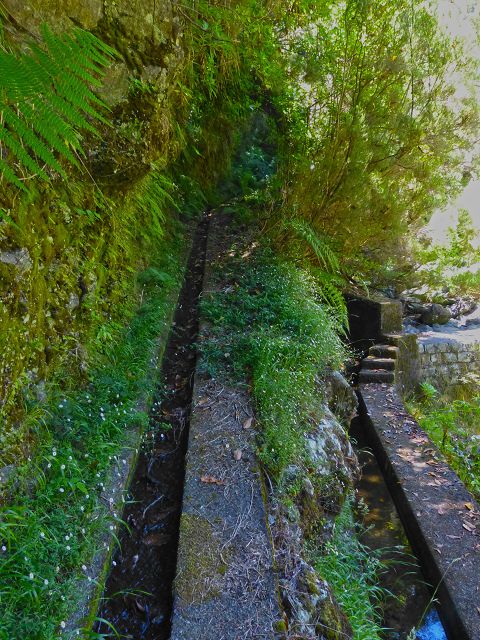 21.07.2014 Levada de Santana — Weiter zur Madre 2 — Foto 25
