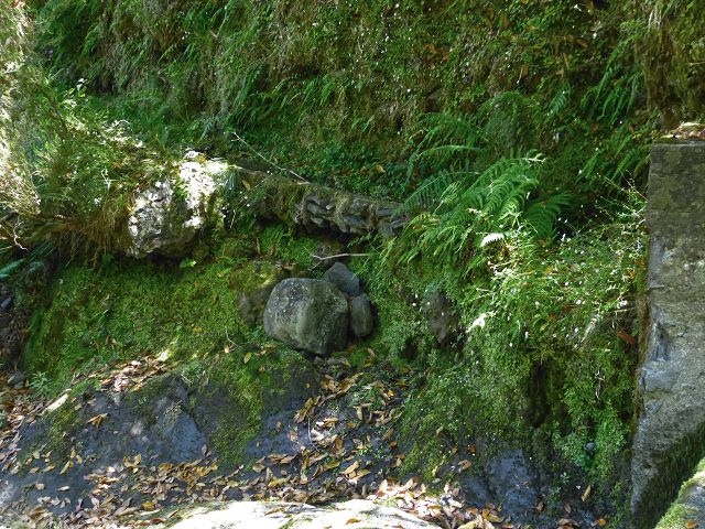 21.07.2014 Levada de Santana — Weiter zur Madre 2 — Foto 29