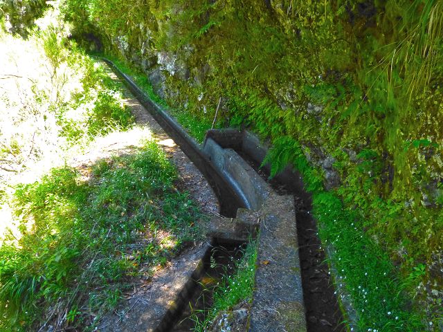 21.07.2014 Levada de Santana — Weiter zur Madre 1 — Foto 1
