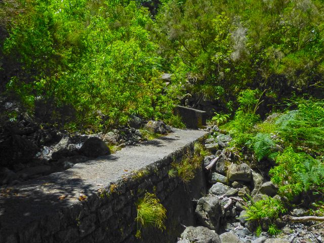 21.07.2014 Levada de Santana — Weiter zur Madre 1 — Foto 2
