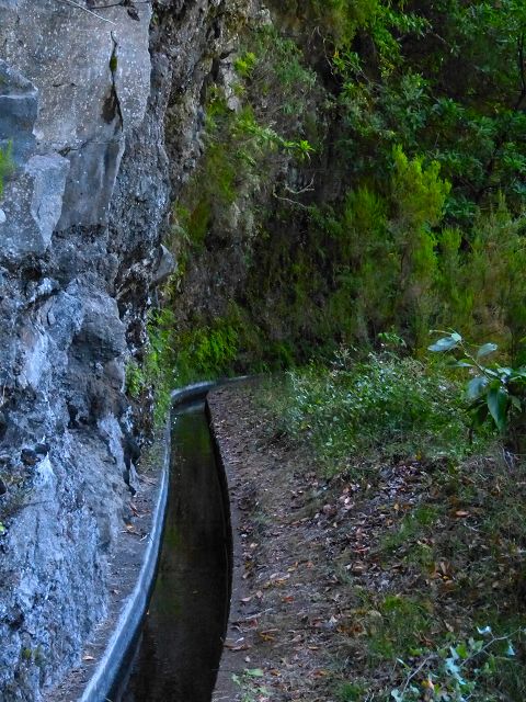 21.07.2014 Levada de Santana — Weiter zur Madre 1 — Foto 5