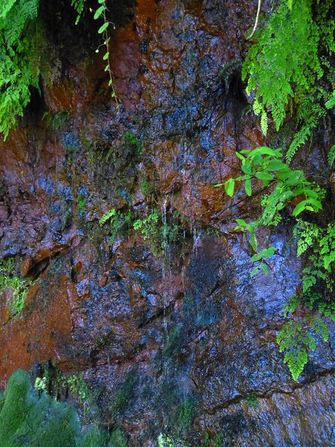 21.07.2014 Levada de Santana — Weiter zur Madre 1 — Foto 12