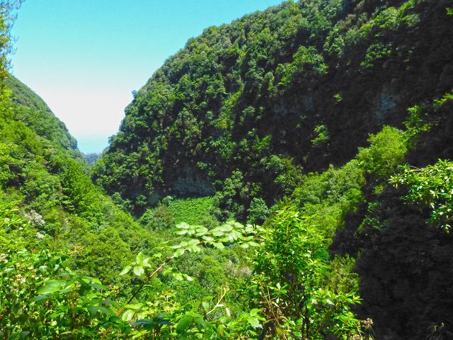 21.07.2014 Levada de Santana — Weiter zur Madre 1 — Foto 13