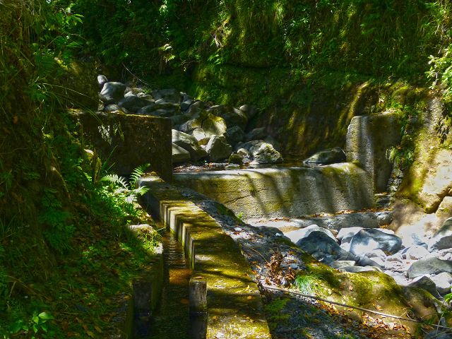 21.07.2014 Levada de Santana — Weiter zur Madre 1 — Foto 16