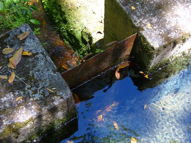 21.07.2014 Levada de Santana — Weiter zur Madre 1 — Foto 17