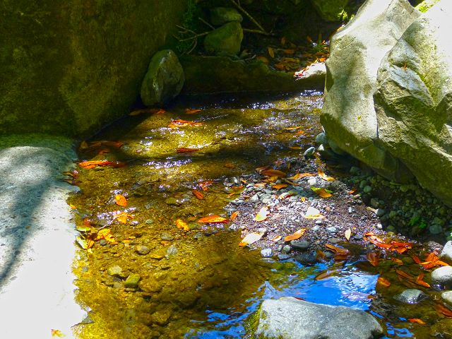 21.07.2014 Levada de Santana — Weiter zur Madre 1 — Foto 18