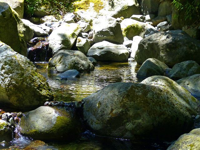 21.07.2014 Levada de Santana — Weiter zur Madre 1 — Foto 19