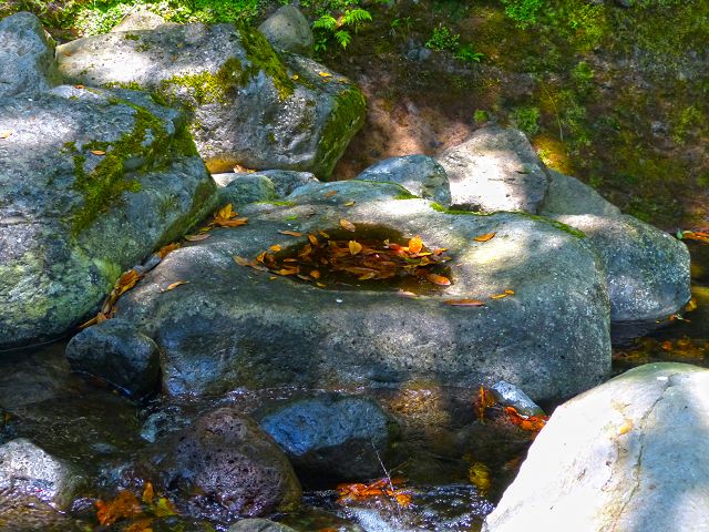 21.07.2014 Levada de Santana — Weiter zur Madre 1 — Foto 20