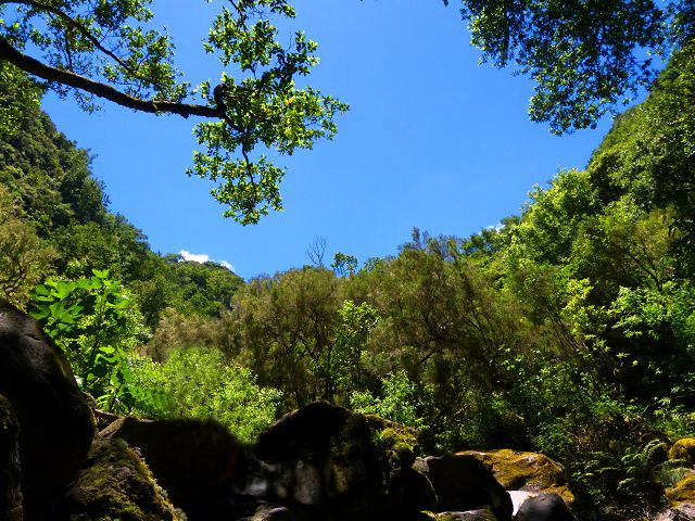 21.07.2014 Levada de Santana — Weiter zur Madre 1 — Foto 21