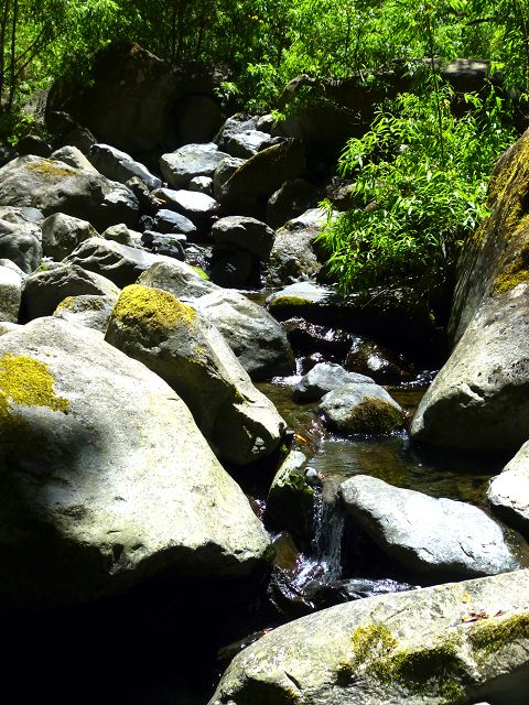 21.07.2014 Levada de Santana — Weiter zur Madre 1 — Foto 24