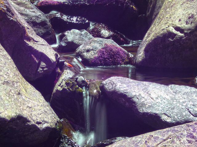 21.07.2014 Levada de Santana — Weiter zur Madre 1 — Foto 25