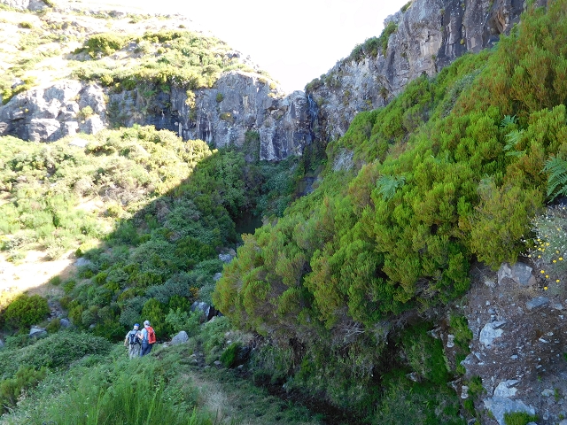 21.07.2015 Cascalho von Pedras, Levada das Rabaças und Lombo do Mouro — Von Pedras zum Einstieg in den Cascalho — Foto 10