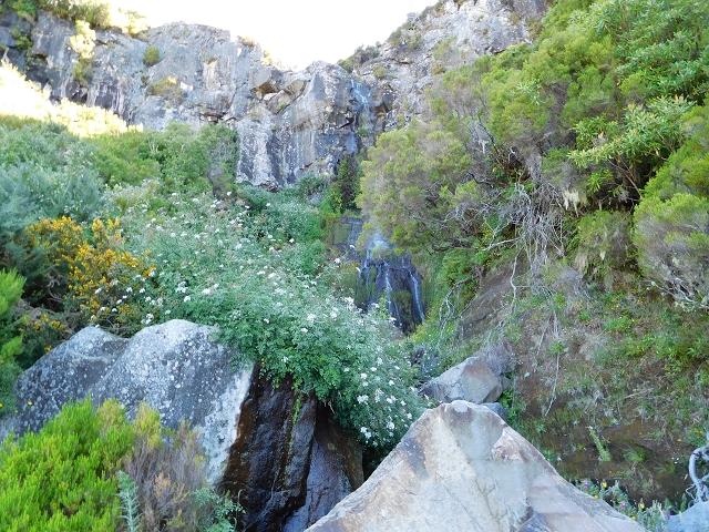 21.07.2015 Cascalho von Pedras, Levada das Rabaças und Lombo do Mouro — Von Pedras zum Einstieg in den Cascalho — Foto 12