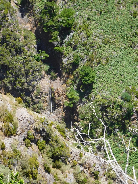 21.07.2015 Cascalho von Pedras, Levada das Rabaças und Lombo do Mouro — Zurück auf der Levada das Rabacas zum Tunnel — Foto 2
