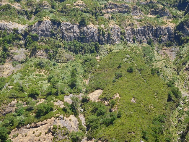 21.07.2015 Cascalho von Pedras, Levada das Rabaças und Lombo do Mouro — Zurück auf der Levada das Rabacas zum Tunnel — Foto 4