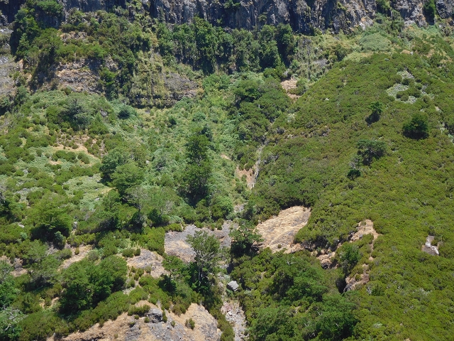 21.07.2015 Cascalho von Pedras, Levada das Rabaças und Lombo do Mouro — Zurück auf der Levada das Rabacas zum Tunnel — Foto 6