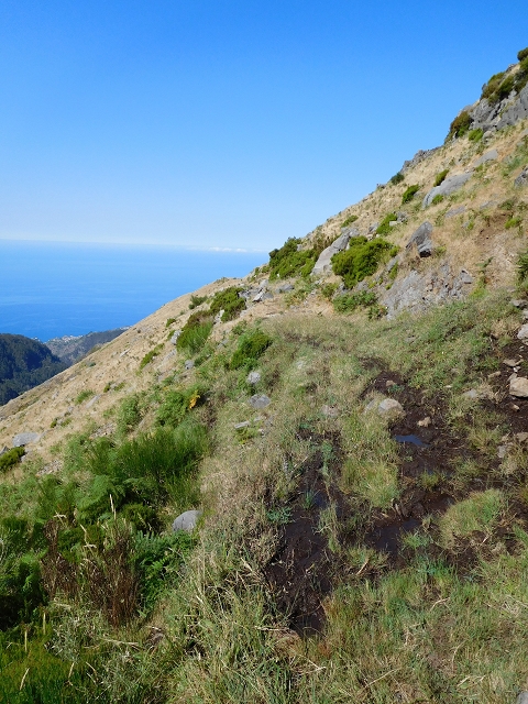 21.07.2015 Cascalho von Pedras, Levada das Rabaças und Lombo do Mouro — Von Pedras zum Einstieg in den Cascalho — Foto 13