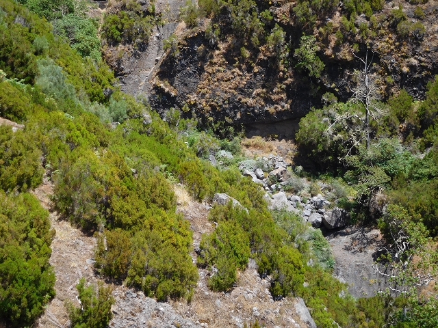 21.07.2015 Cascalho von Pedras, Levada das Rabaças und Lombo do Mouro — Zurück auf der Levada das Rabacas zum Tunnel — Foto 11
