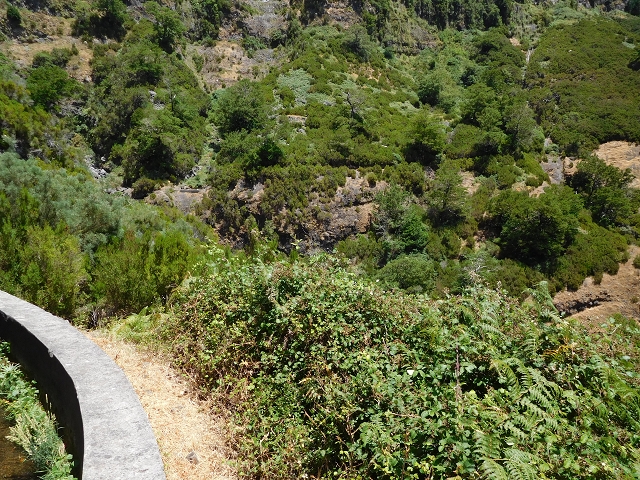 21.07.2015 Cascalho von Pedras, Levada das Rabaças und Lombo do Mouro — Zurück auf der Levada das Rabacas zum Tunnel — Foto 13