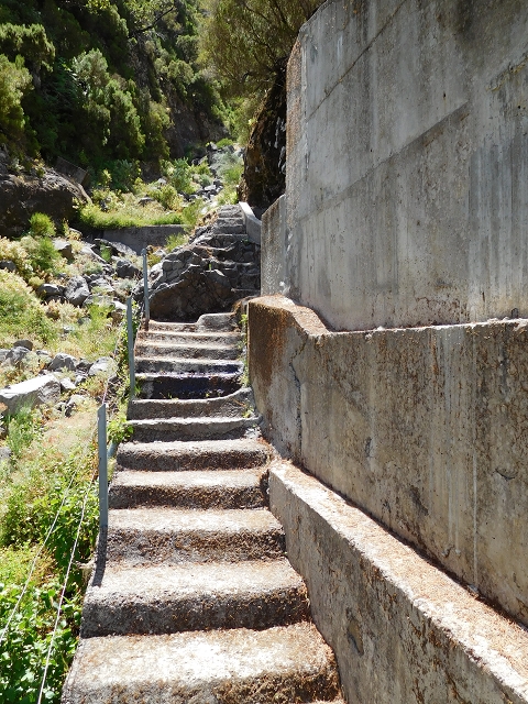 21.07.2015 Cascalho von Pedras, Levada das Rabaças und Lombo do Mouro — Aufstieg zur 'Sergio'-Tafel — Foto 2