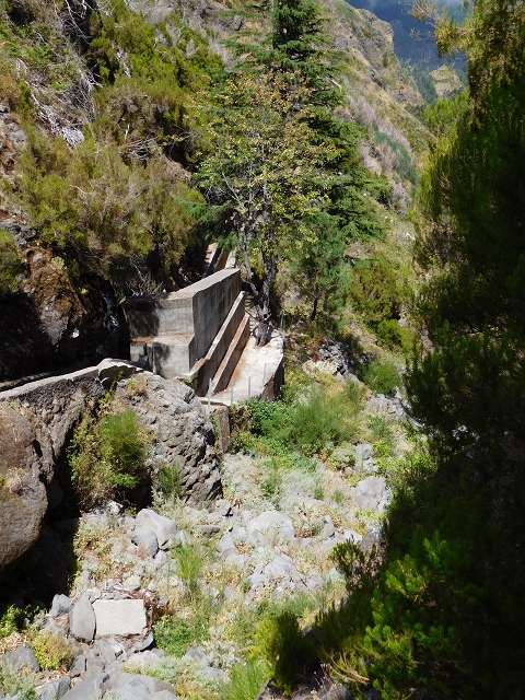 21.07.2015 Cascalho von Pedras, Levada das Rabaças und Lombo do Mouro — Aufstieg zur 'Sergio'-Tafel — Foto 10
